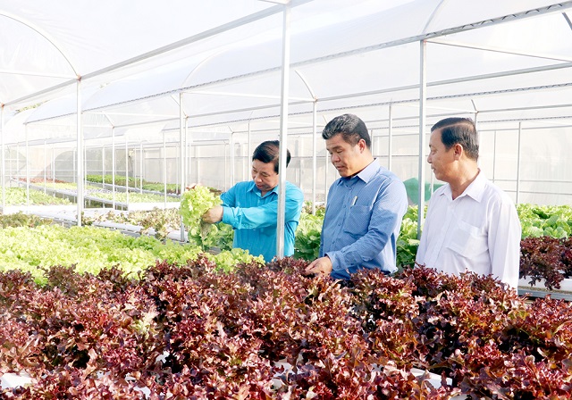 Phú Quốc phát triển nông nghiệp sinh thái gắn với du lịch theo hướng bền vững