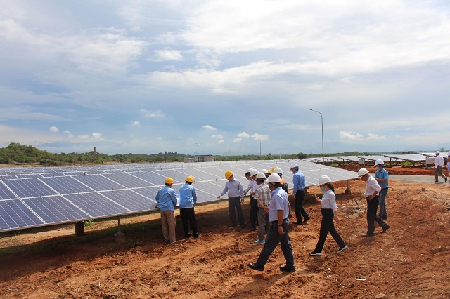 Hội đồng nghiệm thu kiểm tra tấm pin phát điện tại Dự án Nhà máy điện mặt trời Phước Thái 1