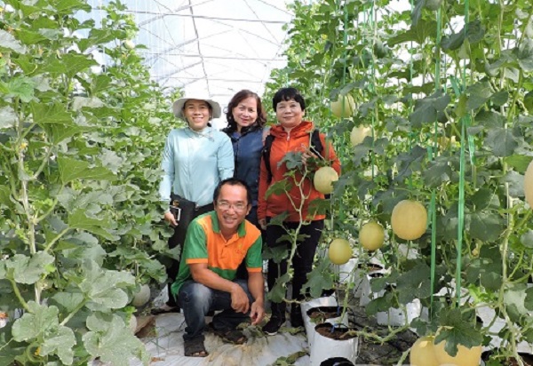 Thành lập hợp tác xã nông nghiệp công nghệ cao đầu tiên ở Bình Định