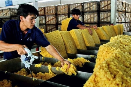 Giá cao su hôm nay 20/8: Tiếp tục giảm vào phiên sáng