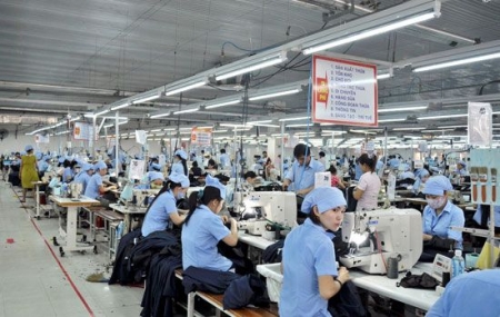 Quan ngại nhiều mặt hàng bị EU áp thuế phòng vệ thương mại