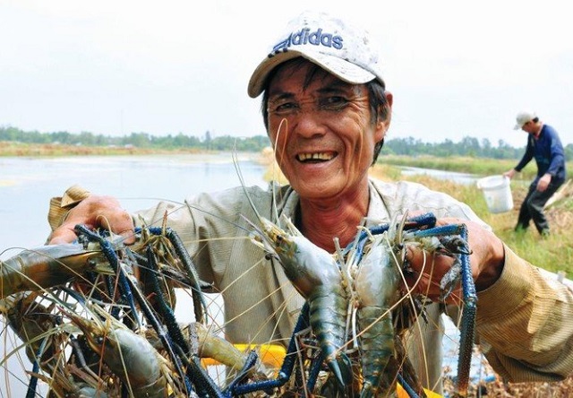 Đồng Nai đã hình thành  được  8 vùng nuôi thủy sản đạt tiêu chuẩn VietGAP