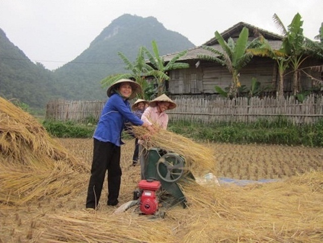 Các HTX nông nghiệp của thành phố Lạng Sơn đang từng bước vượt qua khó khăn và vươn lên phát triển ổn định