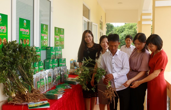 cấp giấy chứng nhận quyền sử dụng nhãn hiệu sản phẩm cho 3 sản phẩm cây dược liệu tại huyện Bát Xát tỉnh Lào Cai