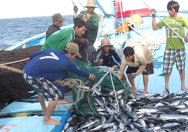 Nâng cao năng lực quản lý chất lượng, đảm bảo vệ sinh thực phẩm nông lâm thủy sản năm 2020 tại Thừa Thiên Huế