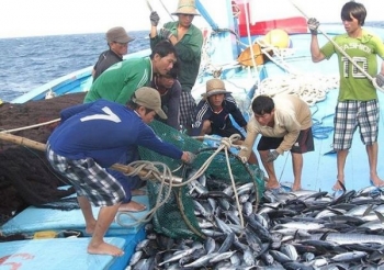 Nâng cao năng lực quản lý chất lượng, đảm bảo vệ sinh thực phẩm nông lâm thủy sản