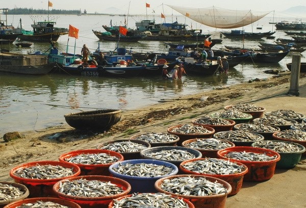 Khánh Hòa Tăng cường lãnh đạo, chỉ đạo công tác chống khai thác hải sản bất hợp pháp
