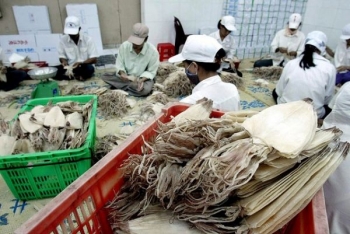 Xuất khẩu mực và bạch tuộc sang Trung Quốc tăng mạnh
