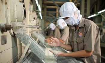 Lô gạo Việt đầu tiên xuất khẩu sang EU hưởng thuế 0%