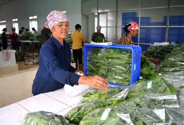 Việt Nam có 1.612 chuỗi cung ứng nông lâm thuỷ sản an toàn trong 8 tháng đầu năm