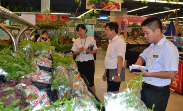 Hà Nội: Thanh tra, kiểm tra 206 tổ chức, cá nhân sản xuất kinh doanh trong lĩnh vực nông thôn