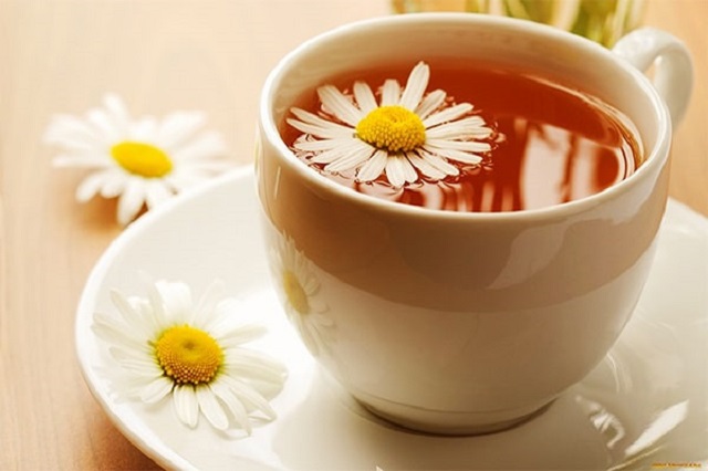 Chỉ cần sử dụng trà hoa cúc thảo dược tự nhiên là bạn có thể cảm nhận được những lợi ích về sức khỏe mà loài trà này mang đến