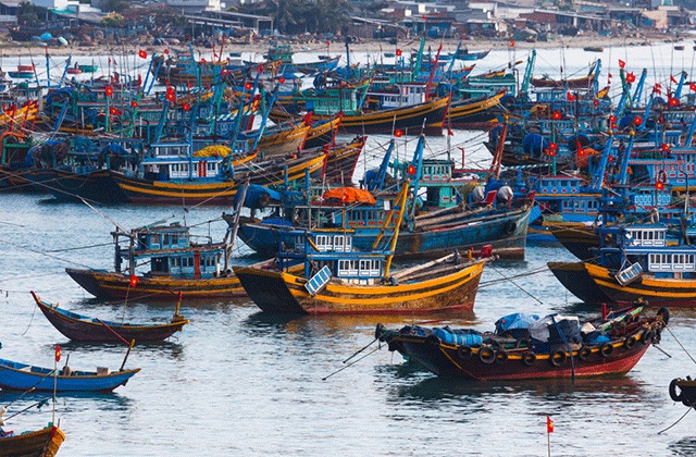 UBND TP Hải Phòng vừa ban hành 2 quyết định về việc công bố mở cảng cá Ngọc Hải và cảng cá Trân Châu