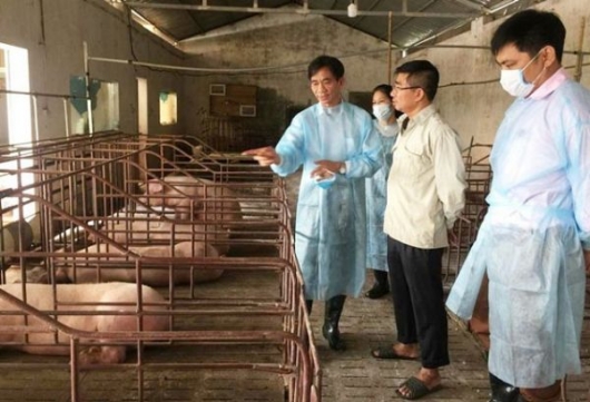 Hà Nội: Ngăn chặn dịch bệnh từ chăn nuôi an toàn hiệu quả