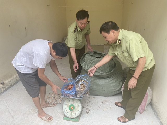Lạng Sơn: Liên tiếp chặn bắt, xử lý hàng trăm kg thuốc bắc, nguyên liệu thuốc bắc không rõ nguồn gốc