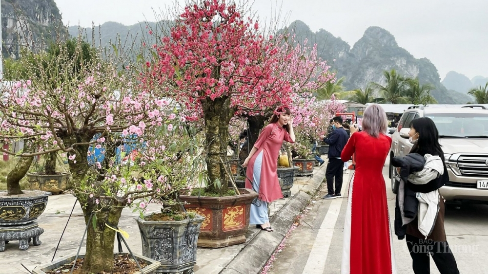 Nhộn nhịp chợ hoa Tết tại Tp.Hạ Long (Quảng Ninh)