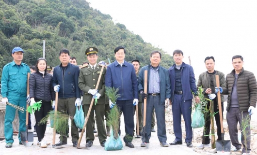 Quảng Ninh: Ban Quản lý Vườn quốc gia Bái Tử Long phát động Tết trồng cây