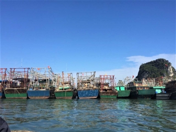 Quảng Ninh: Khắc phục tình trạng khai thác thủy hải sản bất hợp pháp