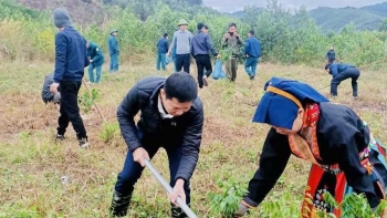 Huyện Ba Chẽ xây dựng và bảo vệ môi trường trong phát triển nông thôn mới