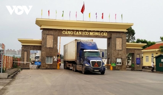 Quảng Ninh: Tìm giải pháp xuất khẩu hàng tươi sống cho doanh nghiệp