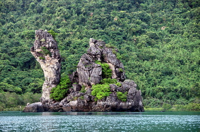 Vườn quốc gia Bái Tử Long - “Kho báu” giữa trùng khơi | Tour mới | Vietnam+  (VietnamPlus)