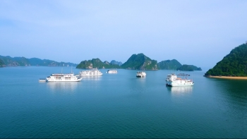 Quảng Ninh: Tăng cường làm sạch môi trường vịnh Hạ Long