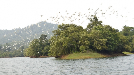 Quảng Ninh: Danh thắng "hồ Trên núi" êm dịu khi vào thu