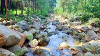 Quảng Ninh: Danh thắng Thác Mơ hút khách từ vẻ đẹp núi rừng hoang sơ