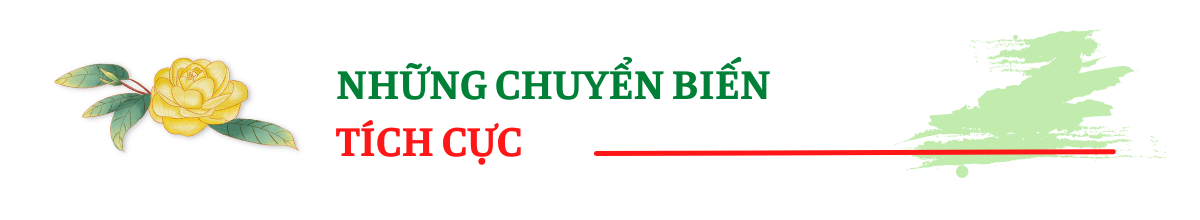 Tam Đảo (Vĩnh Phúc): Thu hái nhiều “trái ngọt” qua 10 năm thực hiện CTMTQG xây dựng Nông thôn mới