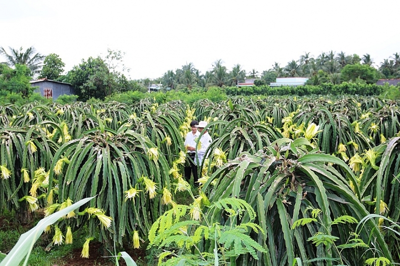 Agribank tự hào góp thêm trang sử vẻ vang 70 năm Ngân hàng Việt Nam