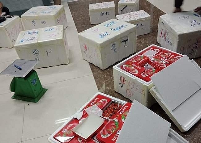 Bên ngoài những thùng xốp và hộp giấy chứa quả dâu tây đều có chữ Trung Quốc, không có tem, nhãn mác tiếng Việt và hạn sử dụng theo quy định.