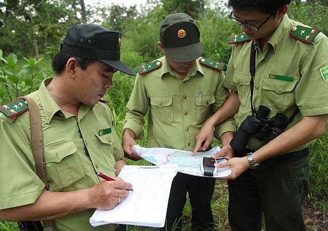 Lực lượng kiểm lâm Việt Nam là 1 trong số các cơ quan chức năng dùng trang phục cùng màu với QLTT 